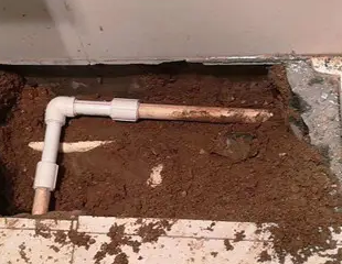 潮州市测漏水哪家好