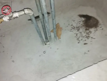 潮州市卫生间测漏水价格明细