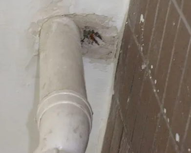 潮州市漏水检测哪家好